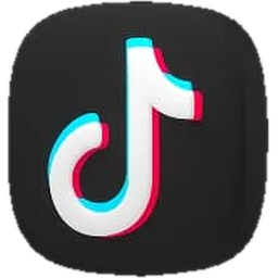 TikTok SMM Panel